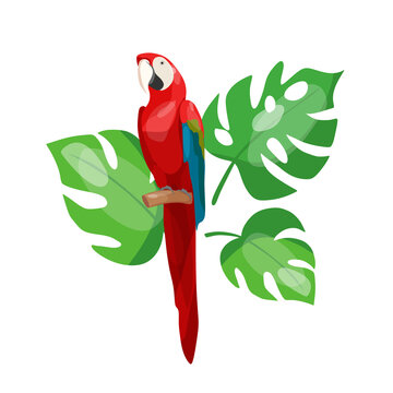 Vector illustration of a tropical red parrot in a composition with tropical leaves.