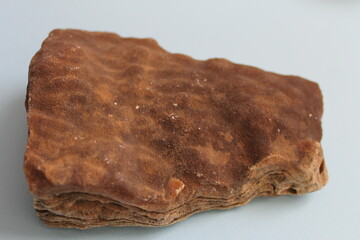 Bark fossil in light blue background.
Before it was amber