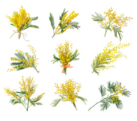 Set with bright yellow mimosa flowers on white background