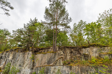 Beautiful view of forest trees tops on blue sky background. Sweden.