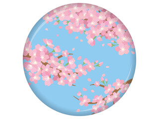 桜のイラスト　さくら　サクラ　春
