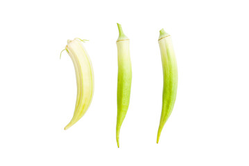 Green roselle isolated on white background.