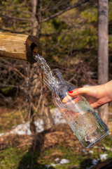 Female hand hold glass bottle and fills with water from wooden tap with forest background.