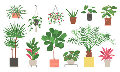 Set of home plants isolated on a white background. Collection of indoor plants in pots. Home decor. Vector illustration in flat style.