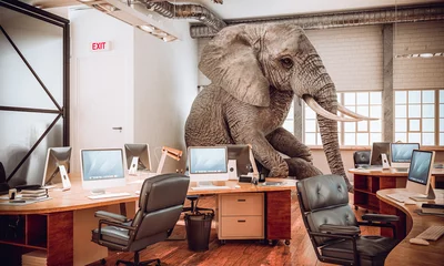 Fotobehang big elephant sitting inside an office. © tiero