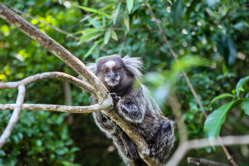 181210 Рио Бразилия Rio Brazil