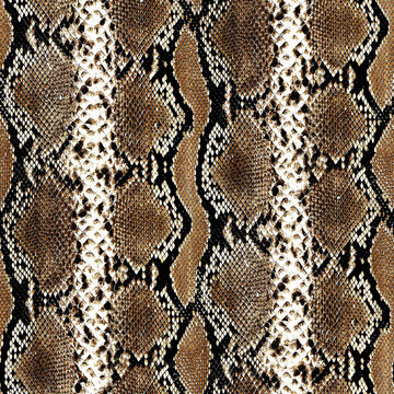Seamless snake texture