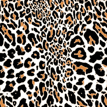 Seamless leopard pattern, African animal print