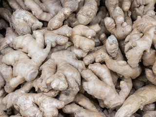 Ginger root on health protection