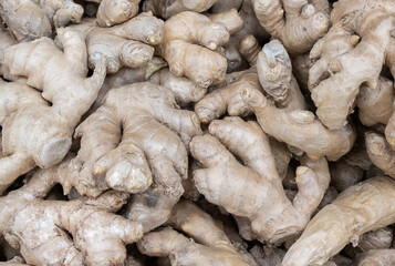 Ginger root on health protection