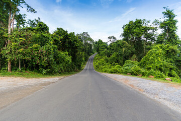 Fototapeta na wymiar Road through forest at Khao Yai National Park, Pak Chong, Nakhon Ratchasima, Thailand.