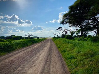road in the countryside