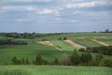 Fototapeta na wymiar Picturesque fields on the hills in spring day, near the village of Niegowa in Krakowsko-Częstochowska Upland, Silesia, Poland