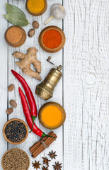 Spices and condiments for cooking
