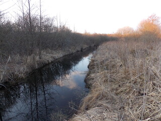 river in the morning