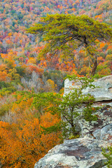 Naklejka na ściany i meble USA, Tennessee, Fall Creek Falls State Park. Overlook from Buzzard's Roost.