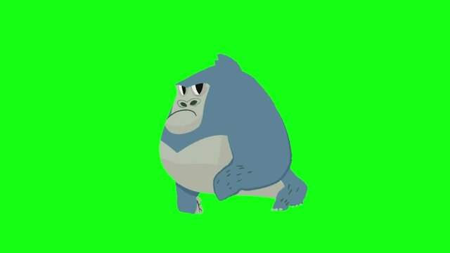 Gorilla walk cycle animation with anger facial expression. video clip with green screen background.