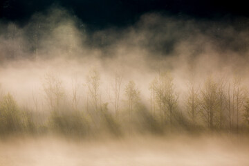 USA, Tennessee. Early morning fog in Cades Cove.