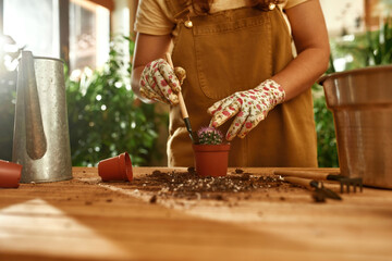 Girl standing at wooden table and digs out cactus