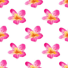 Plumeria flowers pattern. Watercolor seamless floral pattern with bright pink and yellow tropical flowers