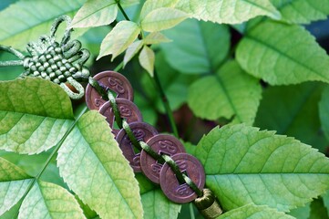 Chinese Feng Shui coin on a green background.