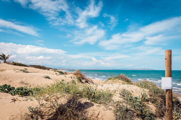 landscape with sand dunes with vegetation next to the beach of Guardamar. Alicante, Spain