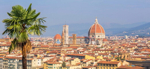 Beautiful Florence. View overlooking the town