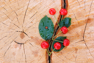 
Red cherry and green leaves lie on a tree stump with a crack and tree rings texture. Place for...