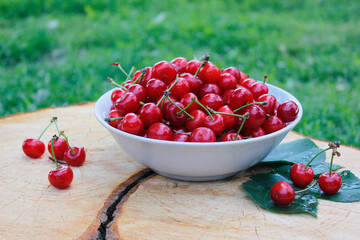 Red cherries in a plate on a tree stump with a crack and tree rings texture. Fresh summer harvest.