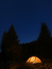 Vertical Panorama of a tent with a spruce forests and stars on the background. Perfect summer night for camping