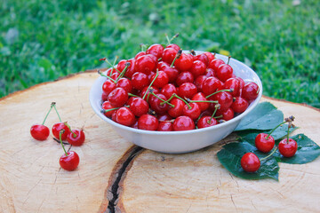 Red cherries in a plate on a tree stump with a crack and tree rings texture. Fresh summer harvest.