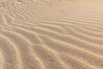 Sand texture, pattern and background.Sand ripple.Beautiful nature background.