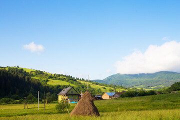 Carpathian nature in summer