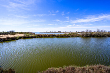 Paysage de Camargue
