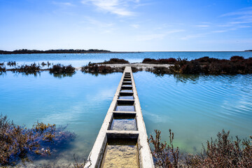 Paysage de Camargue