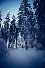 Winter im Th&uuml;ringer Wald