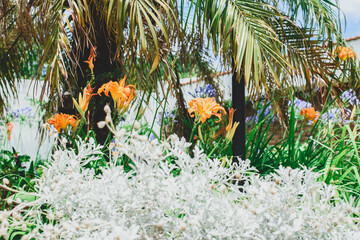 spring my best season 