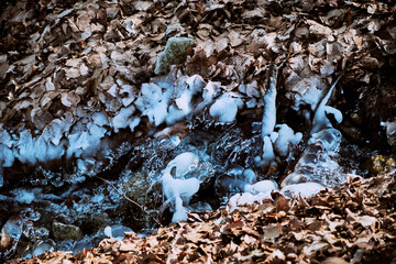 A mountain spring among dry leaves
