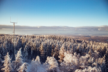 Winterwald bei Ruhla