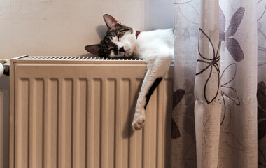 A cat sleeping on a warm radiator in winter