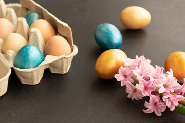 Easter eggs, flowers on dark background. Easter day.