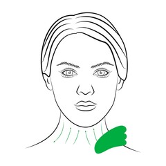 Face massage guasha. Lines of massage on the face. Facial yoga. Beauty procedure.