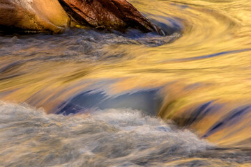 Obraz na płótnie Canvas USA, Utah, Zion National Park. Autumn reflections in stream.