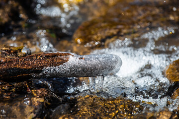 Ice