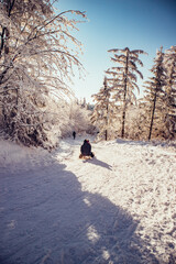 Rodeln im Winter