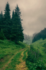 path in the foggy mountains goes to the top of the ridge in the misty forest near Almaty city Kazakhstan