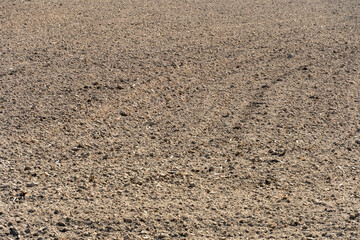 empty clean agriculture field, background and texture for design, copy space, eco farming and organic agriculture concept. The field after harvesting.