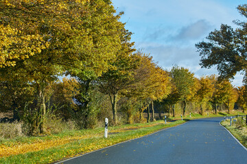 straße kurve