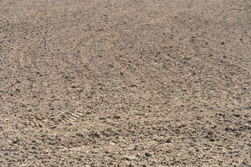 empty clean agriculture field, background and texture for design, copy space, eco farming and organic agriculture concept. The field after harvesting.