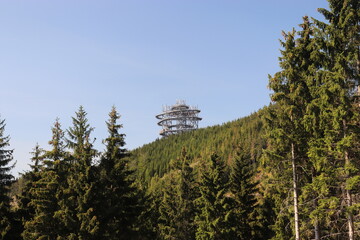 A view to the lookout tower in the forest at Czech republic